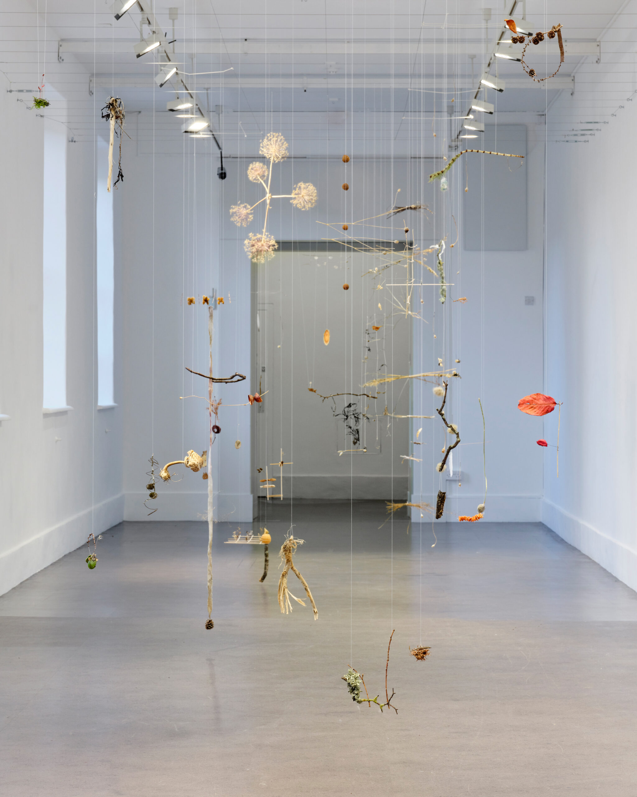 Cecilia Vicuna Artwork Installation