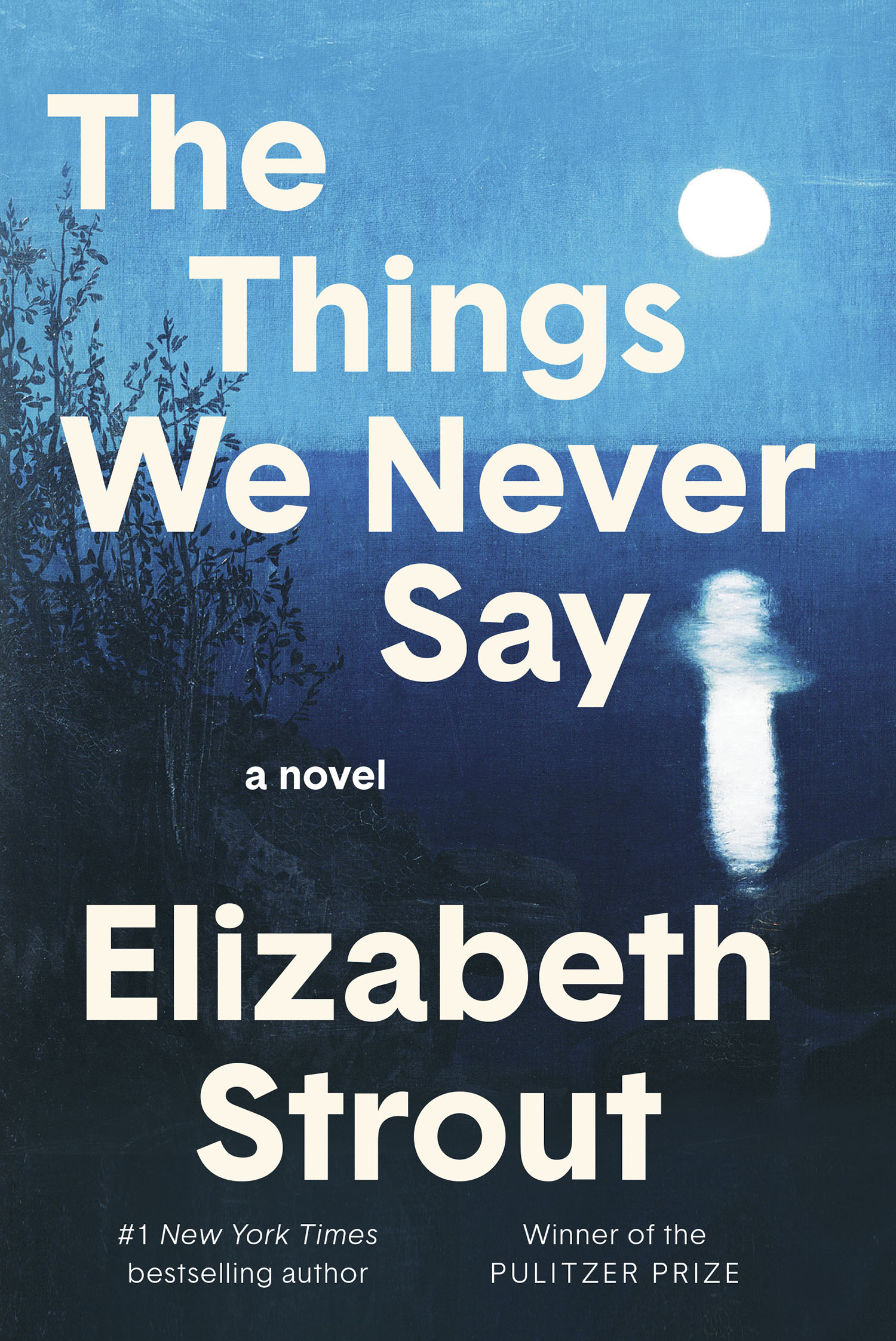 The Things We Never Say by Elizabeth Strout.