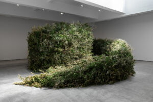 large green hedge spiral in a gallery