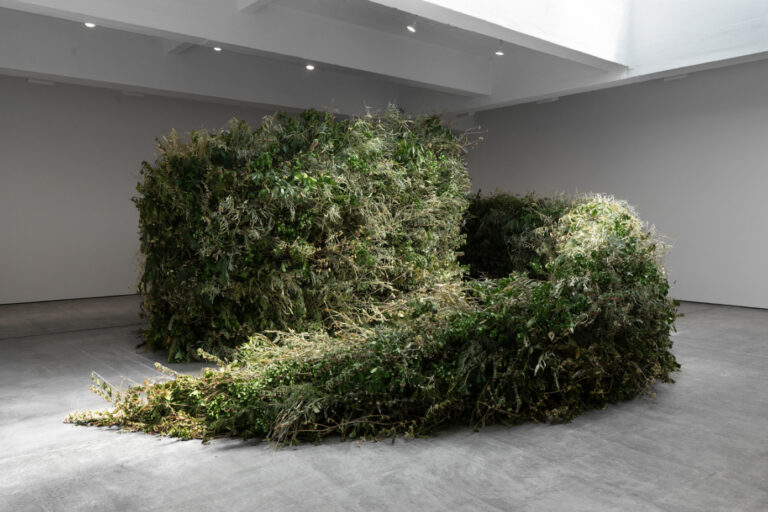 large green hedge spiral in a gallery