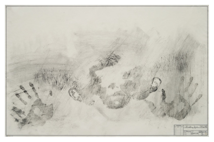 Jasper Johns, Study for Skin I 