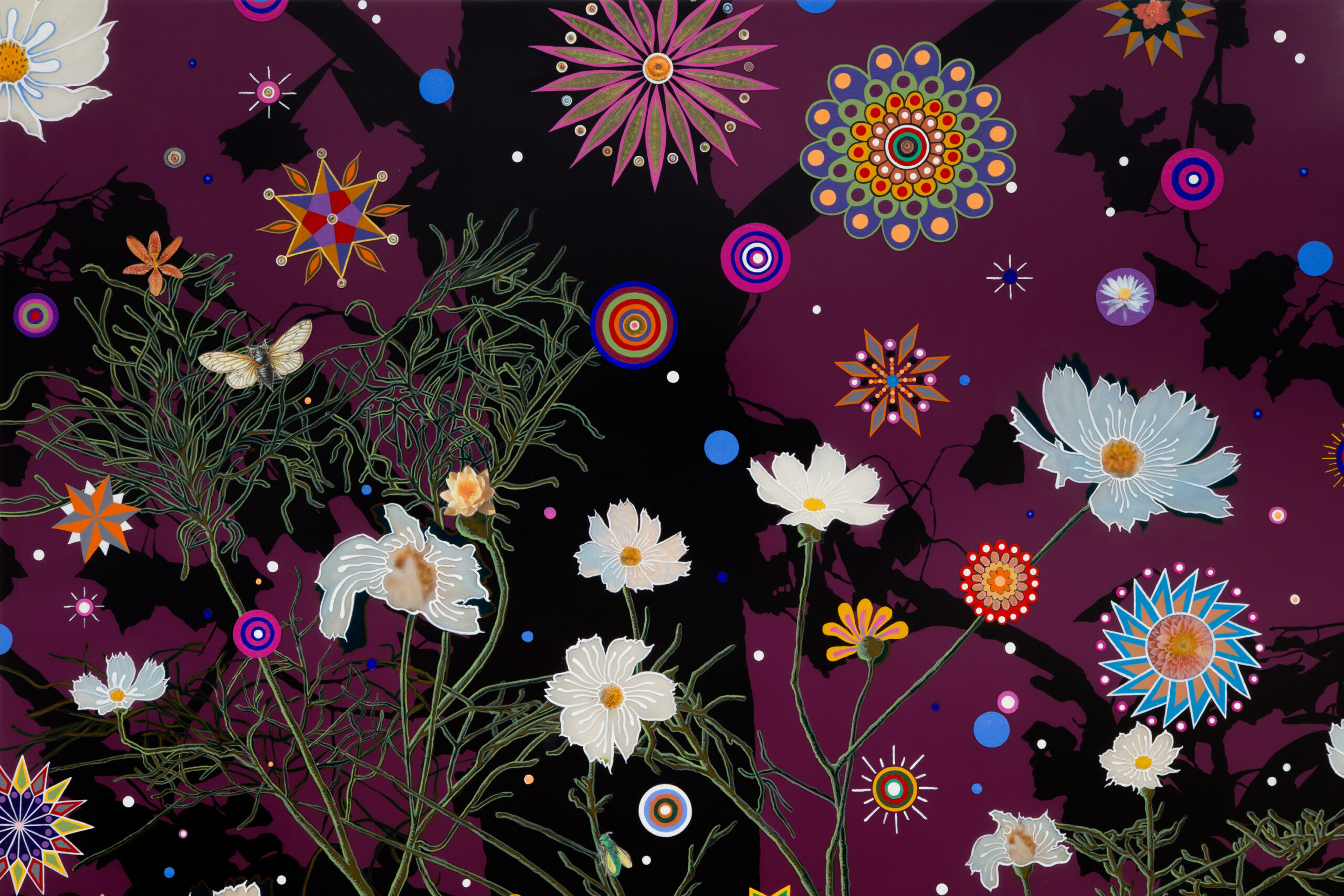 The work of Fred Tomaselli at James Cohan gallery