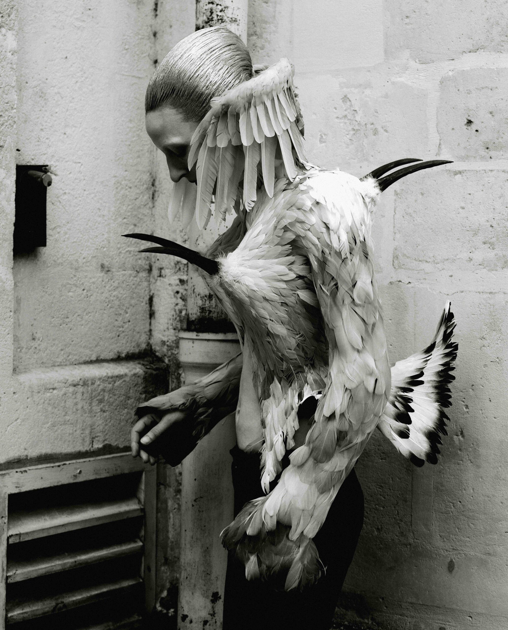 This Photographer Just Helped Daniel Roseberry's Winged Designs