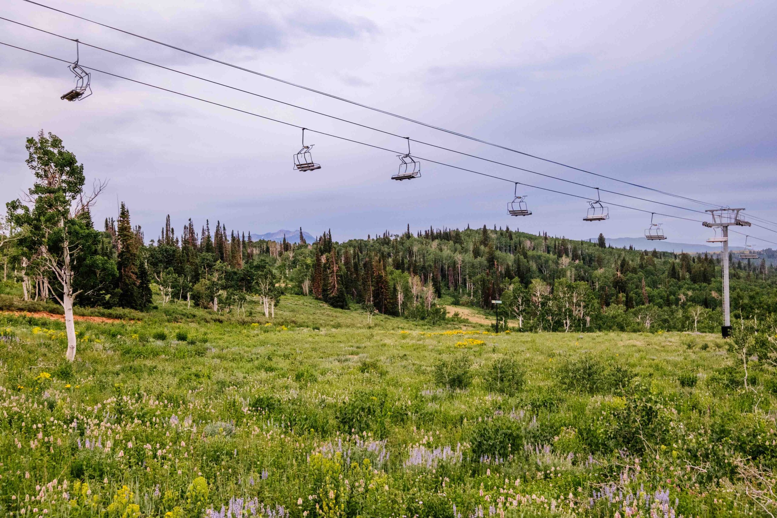 Powder Mountain in the spring