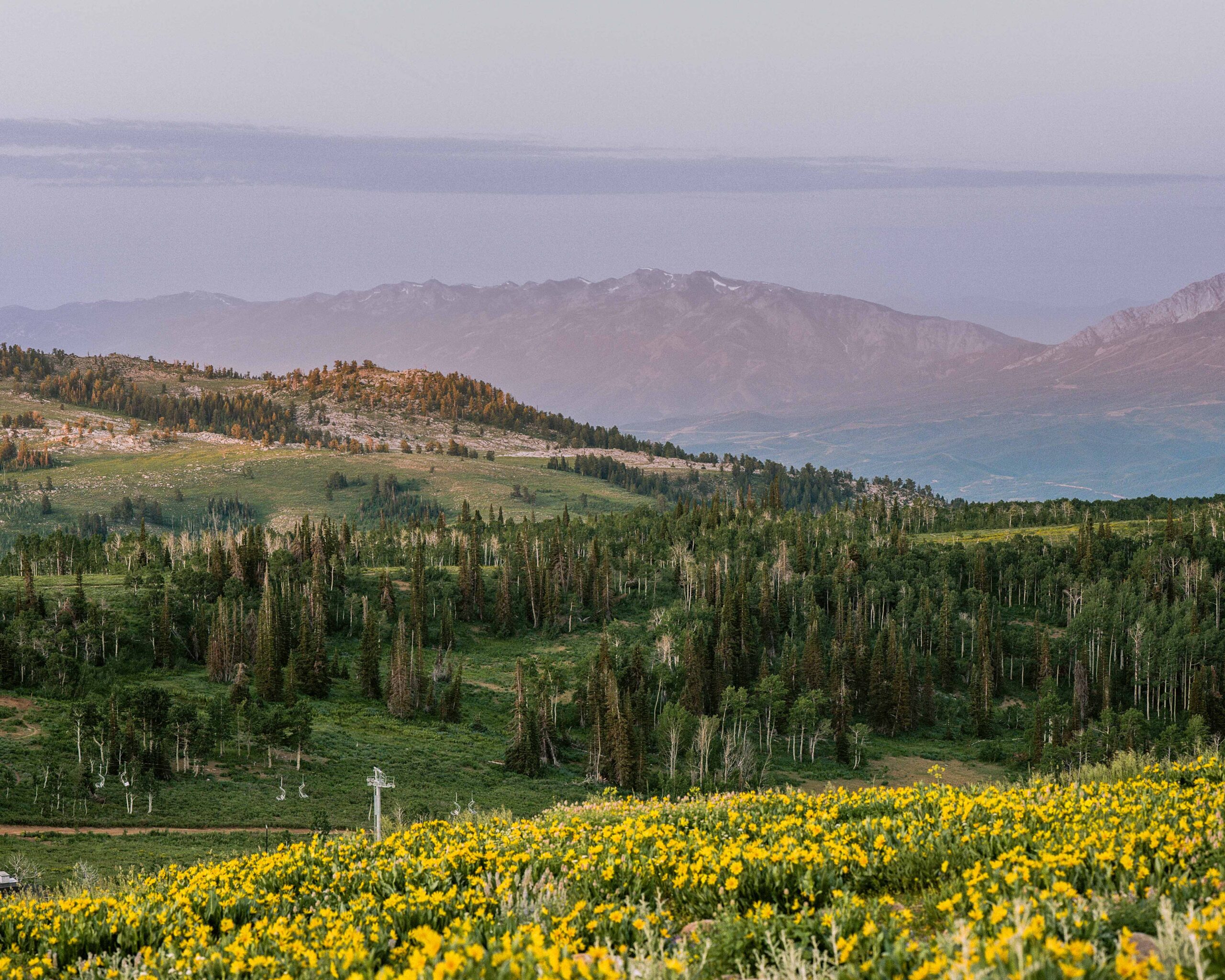 Powder Mountain in the spring