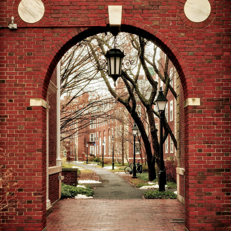 America's College Dream Is Dying. Why Is the Campus Novel More Tempting Than Ever?