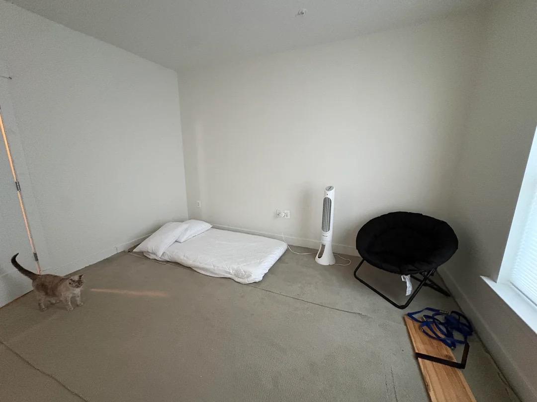 Are Reddit Boys’ Struggle Apartments Actually the Future of Design?